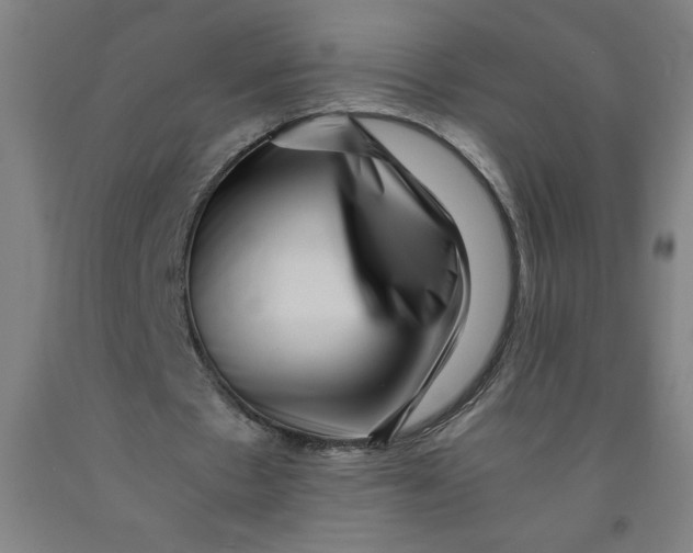 X0000091880481200709261354