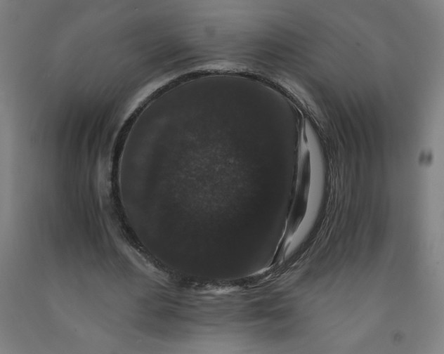 X0000091880484200709261354