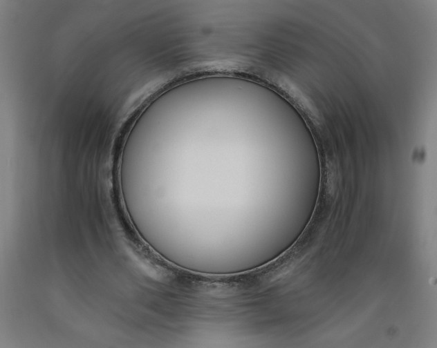 X0000091880486200709261354