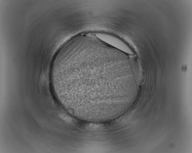 X0000091880487200709261354