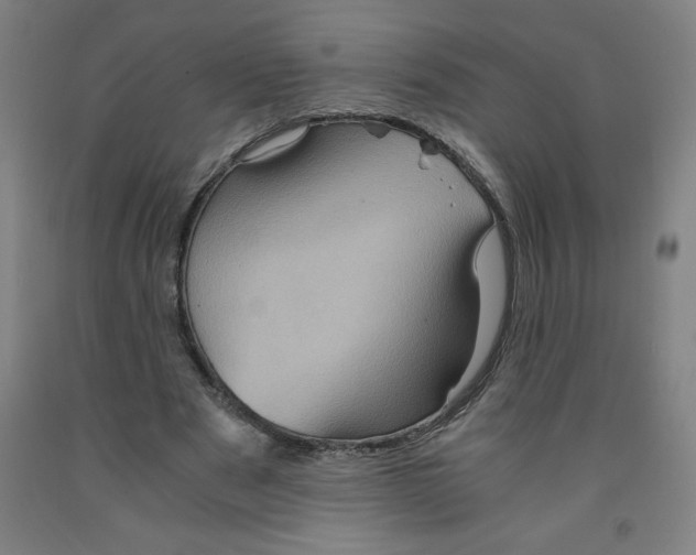 X0000091880489200709261354