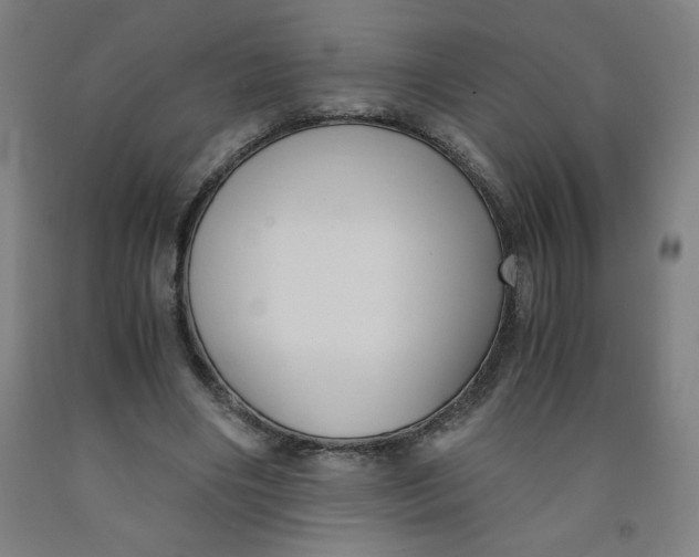 X0000091880490200709261354