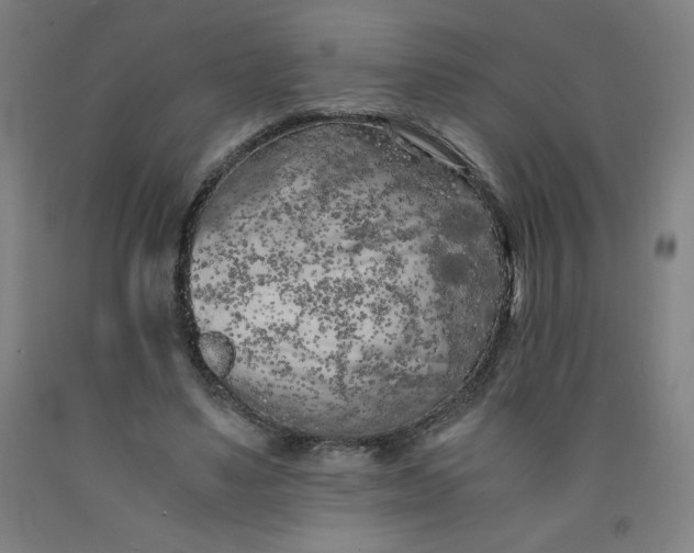 X0000091880491200709261354