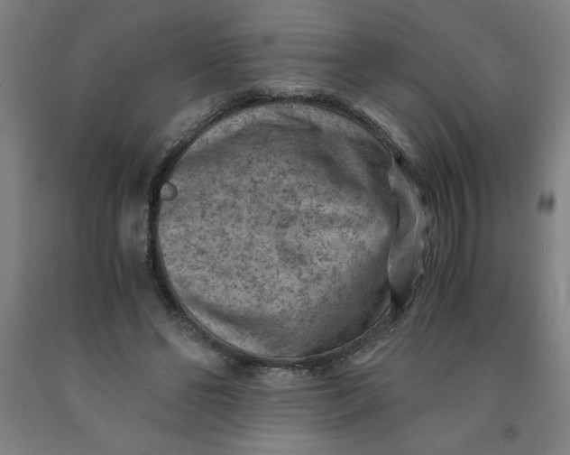 X0000091880494200709261354