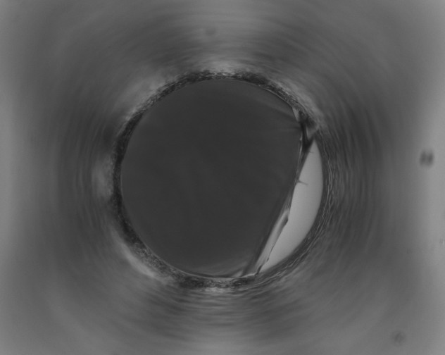 X0000091880496200709261354