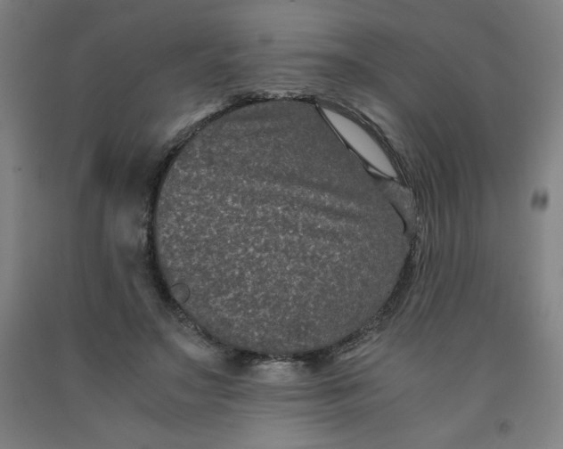 X0000091880499200709261354