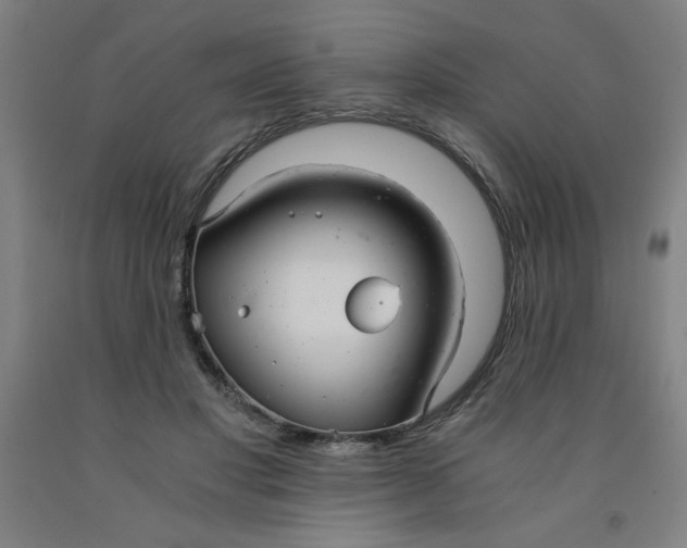 X0000091880501200709261354