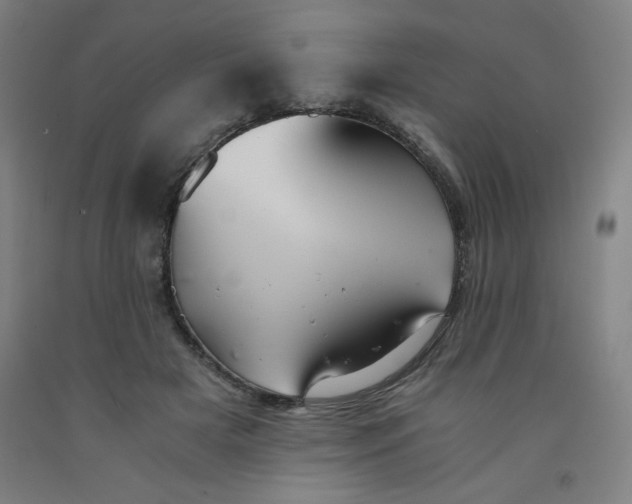 X0000091880505200709261354