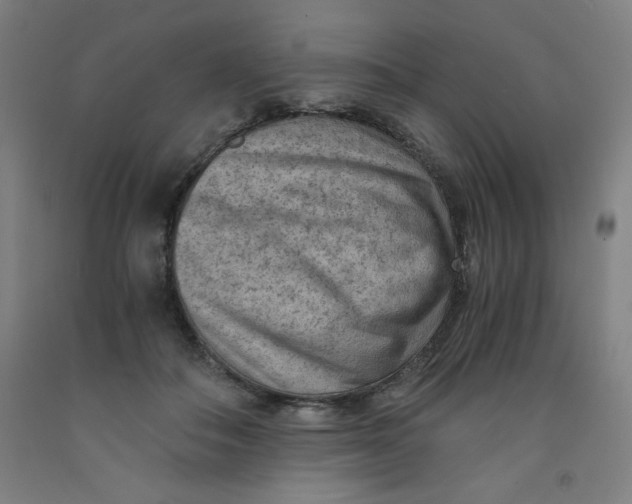 X0000091880506200709261354