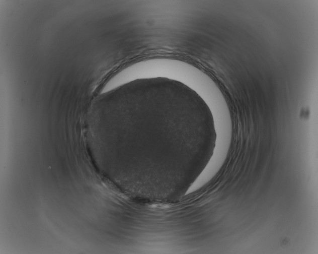 X0000091880508200709261354