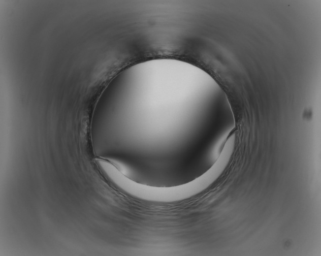 X0000091880509200709261354