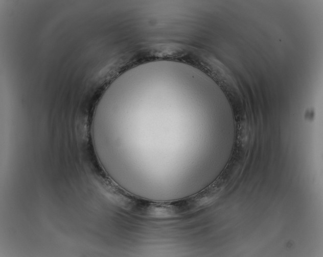 X0000091880510200709261354