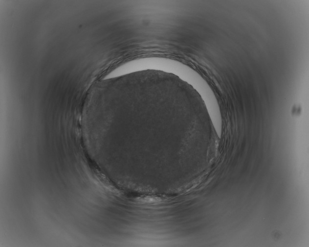 X0000091880512200709261354