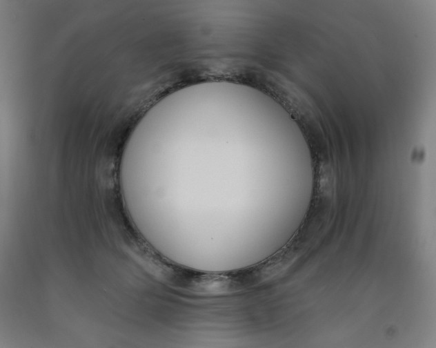 X0000091880514200709261354