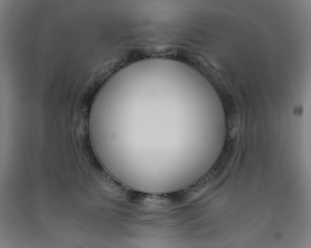 X0000091880515200709261354