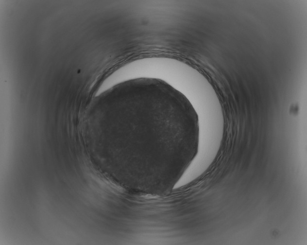 X0000091880516200709261354