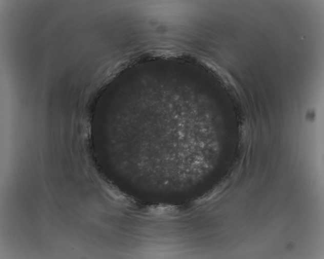 X0000091880517200709261354