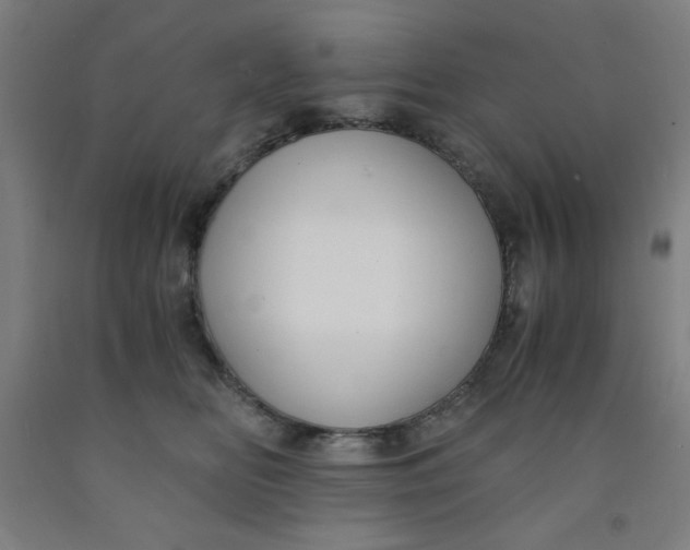 X0000091880518200709261354