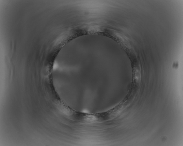 X0000091880519200709261354