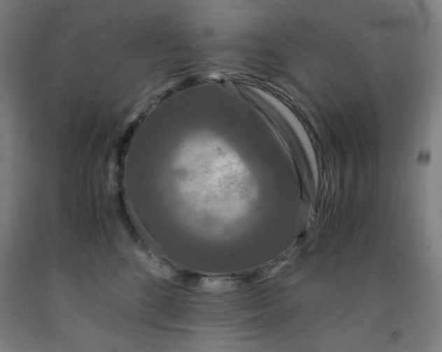 X0000091880520200709261354