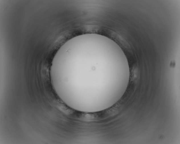 X0000091880522200709261354