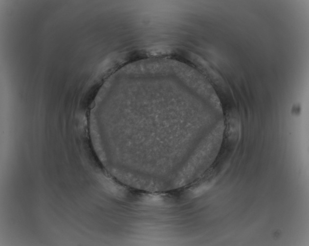 X0000091880523200709261354