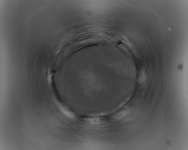 X0000091880524200709261354