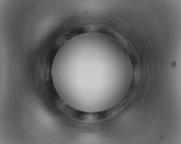 X0000091880525200709261354