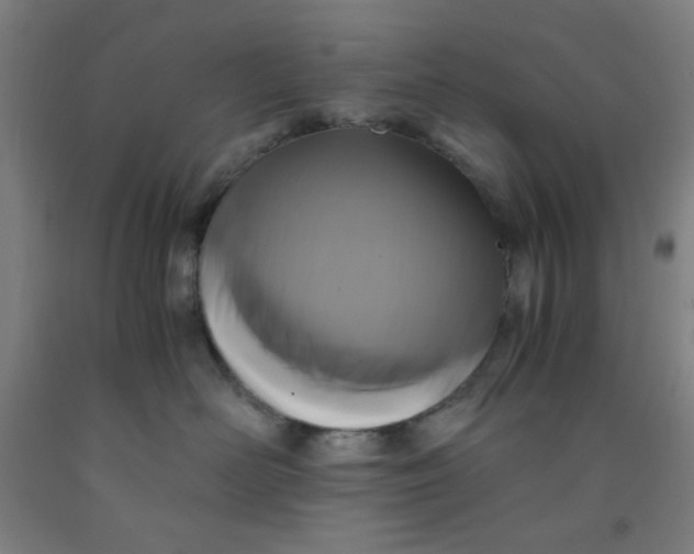 X0000091880526200709261354