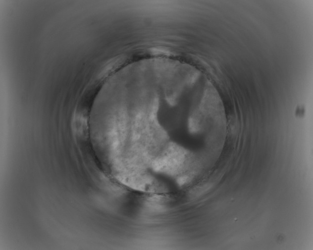 X0000091880527200709261354