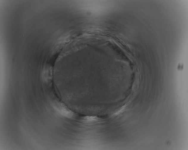 X0000091880528200709261354