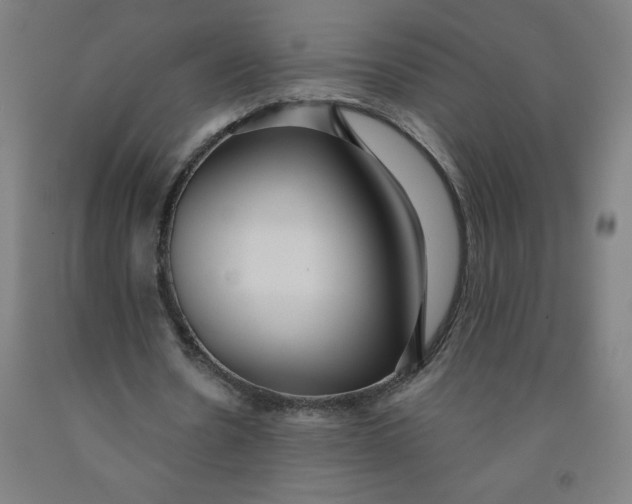 X0000091880530200709261353