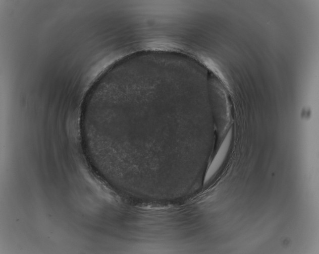 X0000091880531200709261353