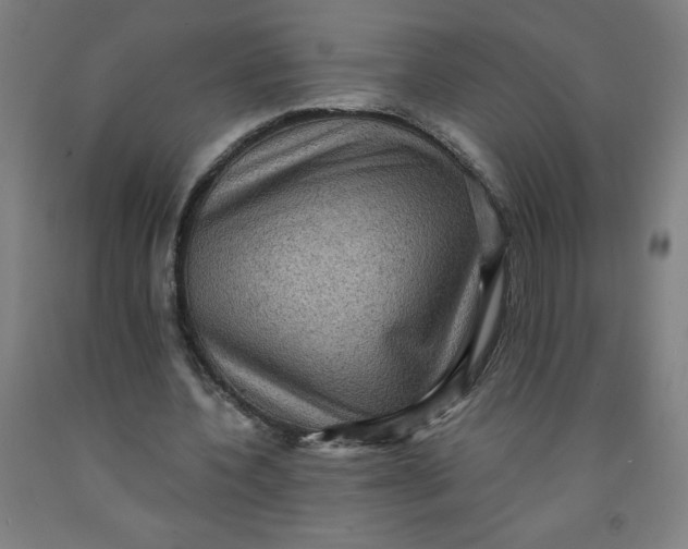 X0000091880532200709261353