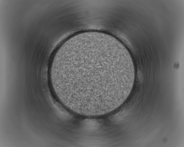 X0000091880534200709261353