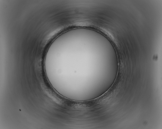 X0000091880535200709261353