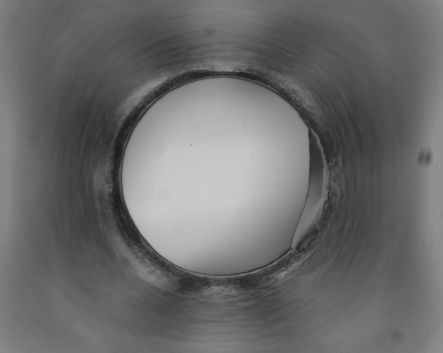 X0000091880536200709261353