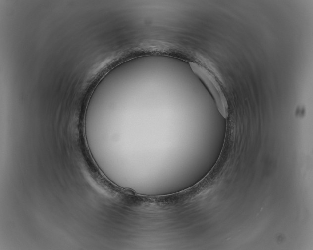 X0000091880538200709261353