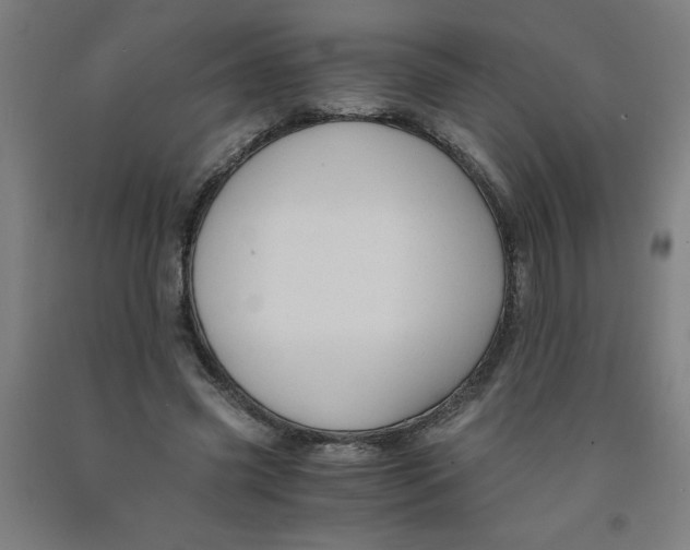 X0000091880541200709261353