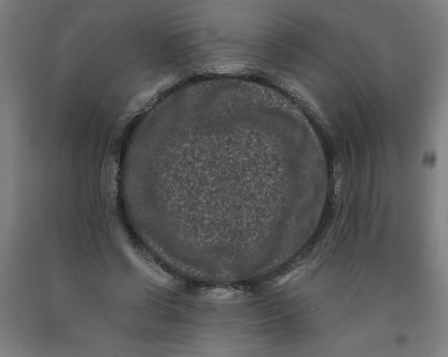 X0000091880542200709261353