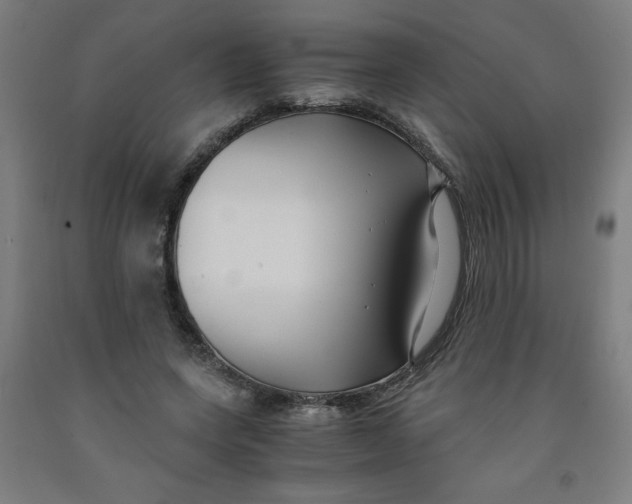 X0000091880543200709261353