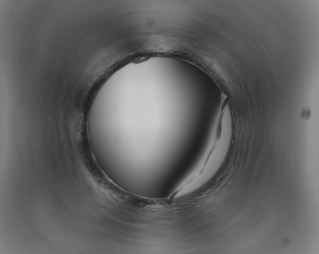 X0000091880544200709261353