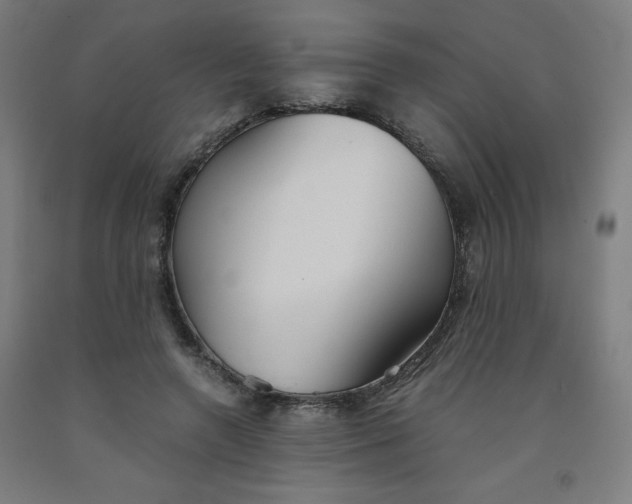 X0000091880546200709261353