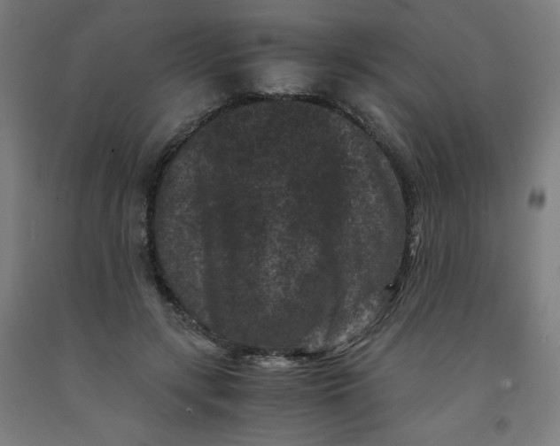 X0000091880547200709261353