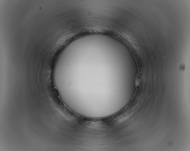 X0000091880548200709261353