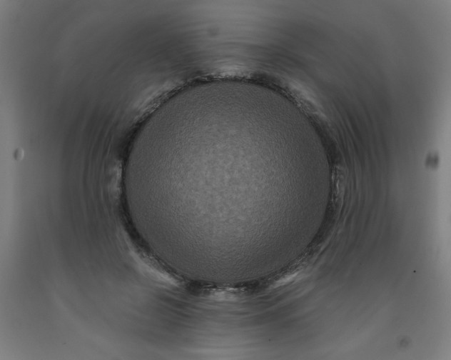 X0000091880550200709261353