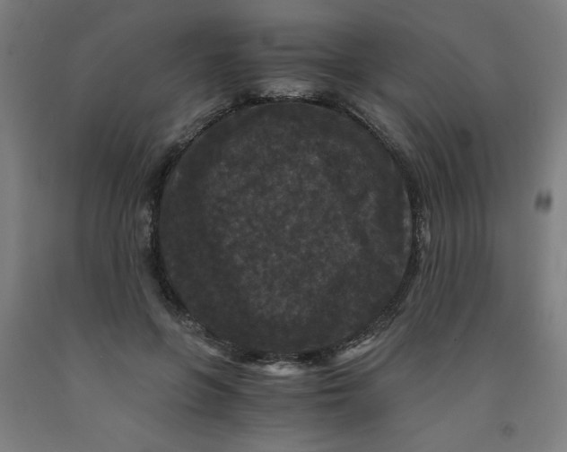 X0000091880551200709261353