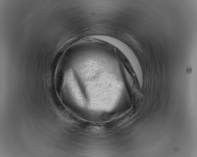 X0000091880552200709261353