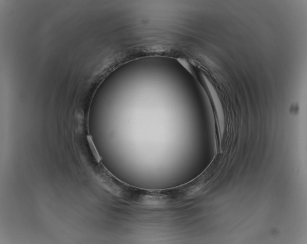 X0000091880556200709261353