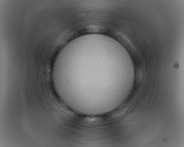 X0000091880557200709261353